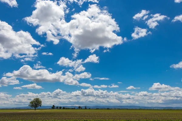 Campo agrícola y montaña Fruska Gora en Voivodina en mayo, Serbia —  Fotos de Stock