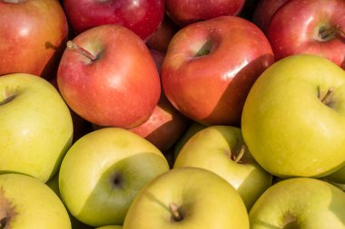 Altın Lezzetli ve Gala elma