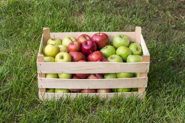 Golden Delicious, Gala and Granny Smith apples in a farmers market crate, Serbia — Stock Photo, Image