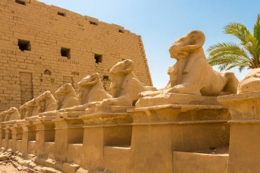 Amun-Re Tapınağı ve Sfenksbaşlı Keçiler - Kriosphinxes, Karnak, Mısır