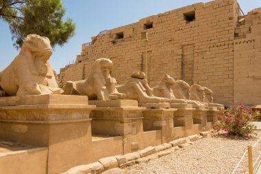 Luxor Sfenks kaplı yol, Mısır