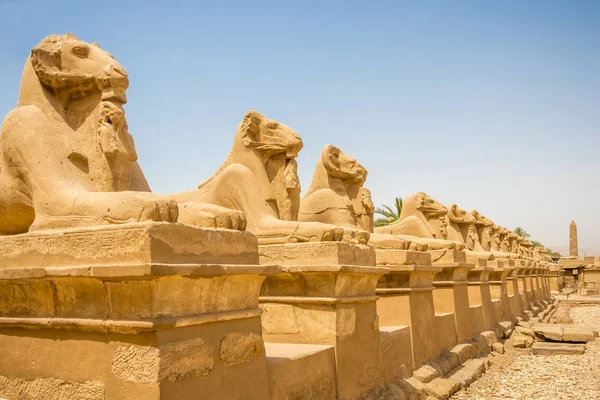 Ram-headed sphinxes line the road outside the temple in Karnak, Egypt