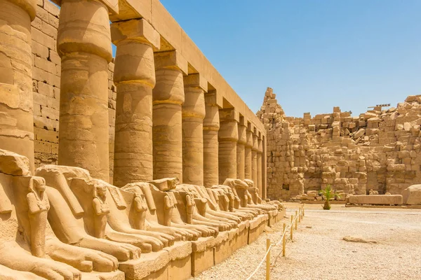 Les grandes colonnes du temple Karnak et des Criosphinx - sphinx à tête de chèvre, Égypte — Photo