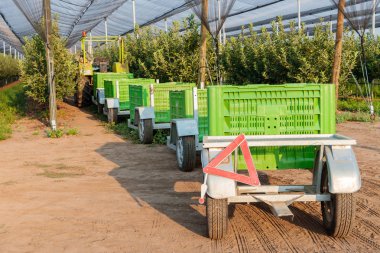 Traktör römorklar elma için büyük kutular çeker