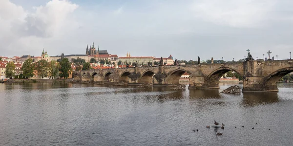 Karlův most a Vltava s kachnami v Praze, Česká republika — Stock fotografie