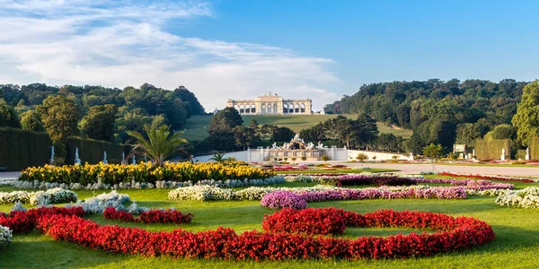  Viyana, Avusturya 'da Schonbrunn Sarayı ve renkli çiçeklerle çevrili bahçe manzarası