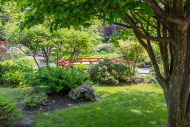 Bahçe tahta köprüsü ve bitkiler