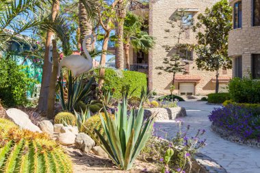 Kaktüs bahçesinde çiçeklerle süslenmiş bir patika resimleri ve bir kuş heykeli.