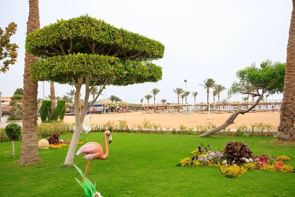 Bilder von einem Weg durch den Garten mit Blumen und einer dekorativen Statue eines Vogels — Stockfoto