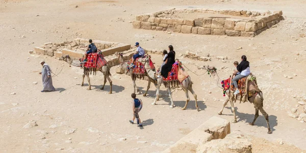 Giza, Ägypten - 19. April 2019: Kamele gezwungen, Touristen ohne Erleichterung nach Ägypten zu schleppen — Stockfoto