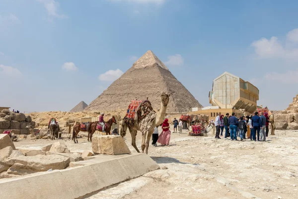 Un camello frente a la pirámide de Khafre, Egipto — Foto de Stock