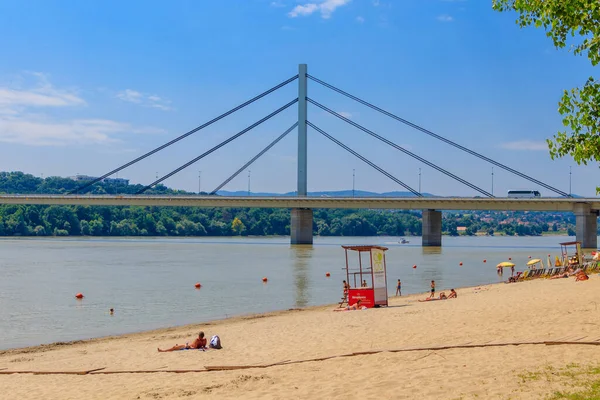 Novi Sad, Sırbistan - 3 Temmuz 2019: İnsanlar Sırbistan 'ın Novi Sad kentindeki Liberty Köprüsü manzaralı Tuna Nehri üzerindeki bir plajın keyfini çıkarıyor