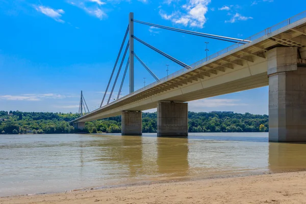 Widok Most Liberty Bridge Most Slobode Novi Sad Serbia — Zdjęcie stockowe