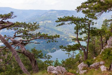 Sırbistan 'daki Tara Ulusal Parkı, Dağın tepesinden görüntü