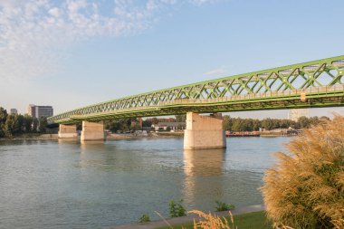 Tuna nehrinin kenarında oturuyor ve manzaranın tadını çıkarıyor, Bratislava, Slovakya