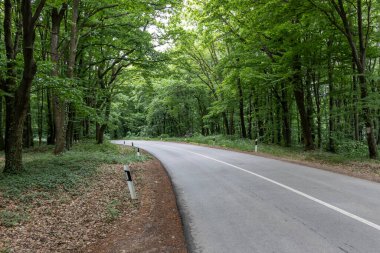 Sırbistan 'da ulusal park boyunca uzanan yol Fruska gora