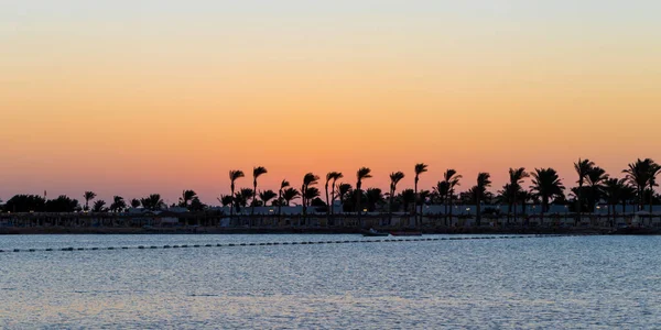 Mar Vermelho Palmeiras Pouco Antes Nascer Sol Hurghada Egito — Fotografia de Stock