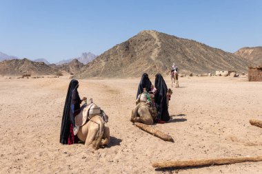 Hurghada, Mısır - 1 Ekim 2020: Başörtüsü giymiş Bedevi kadınlar develerin yanında durup Mısır 'da turistleri bekliyorlar