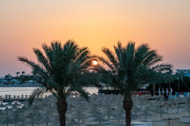Güneş Hurghada 'da, Mısır' da, Kızıl Deniz ve palmiye ağaçlarının üzerinden doğuyor.