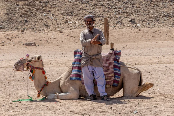Hurghada Egypte Oktober 2020 Oude Bedoeïenenman Met Zijn Kameel Woestijn — Stockfoto