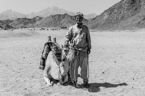 Hurghada Egypte Oktober 2020 Oude Bedoeïenenman Met Zijn Kameel Woestijn — Stockfoto