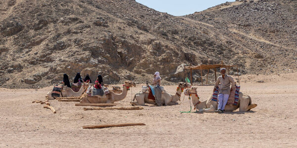 Хургада, Египет - 1 октября 2020 года: бедуинские женщины и мужчина возле верблюдов в ожидании туристов. Деревня в пустыне Фара недалеко от Хургады, Египет