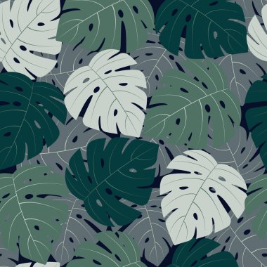 Canavar yapraklı kusursuz bir desen. Tropikal vektör arkaplanı