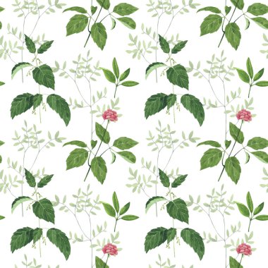 Suluboya şifalı otlar Dikişsiz desen