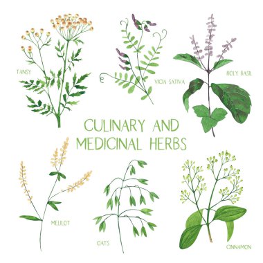 Beyaz arka plan üzerinde izole mutfak ve şifalı otlar seti