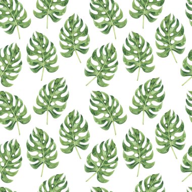 Yeşil monstera yapraklarından yapılmış dikişsiz desen