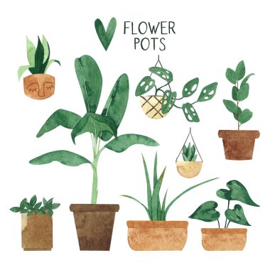 El çizilmiş saksı bitkileri farklı türde