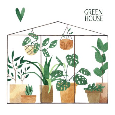 Sevimli suluboya bitkilerin farklı türde sera