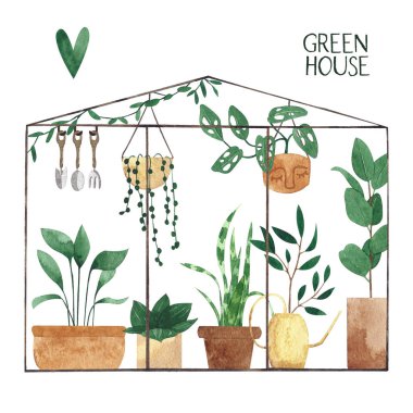 Sevimli suluboya bitkilerin çeşitli sera