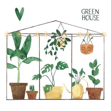 Sevimli suluboya bitkilerin çeşitli sera