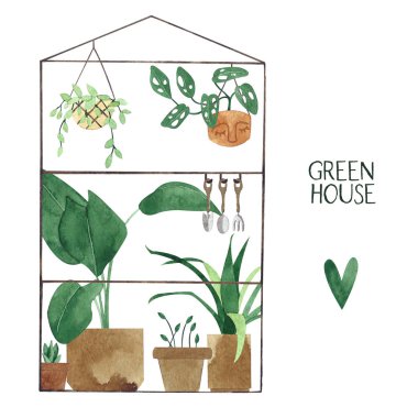 Sevimli suluboya bitkileri ile Sera