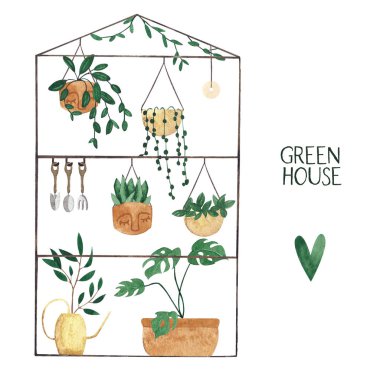 Sevimli suluboya bitkileri ile Sera