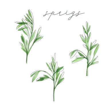 Anahat ve suluboya yaylar seti