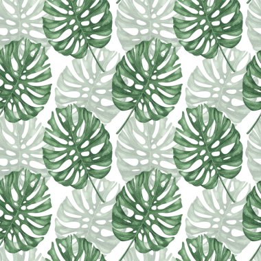 Beyaz arka plan üzerinde izole monokrom yeşil tropikal yaprak desen seti