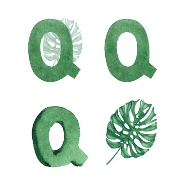 Beyaz arka planda farklı yeşil Q harfleri