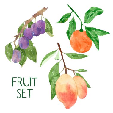 Beyaz arka plan üzerinde izole suluboya erik, mango ve turuncu seti