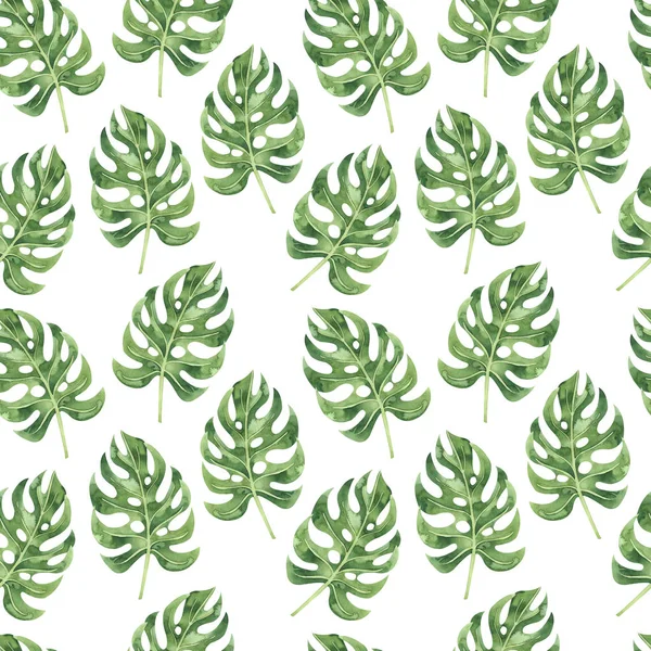 Yeşil monstera yapraklarından yapılmış dikişsiz desen