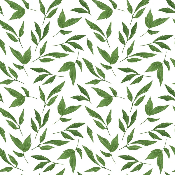 Floral Pattern Made Peony Leaves Isolated White Background — Stock Photo, Image