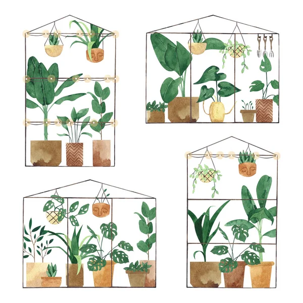 Verscheidenheid Van Kassen Met Aquarel Potplanten — Stockfoto