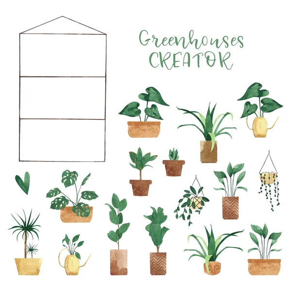 Greenhouse Creator Different Kinds Potted Plants — Stock Photo, Image