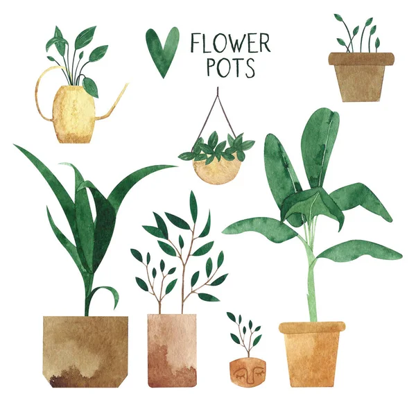 Verschillende Soorten Hand Getekende Potplanten — Stockfoto