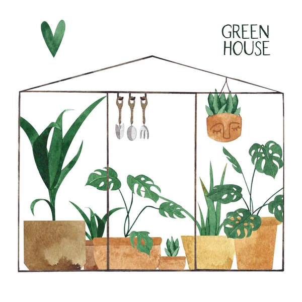 Sevimli suluboya bitkilerin çeşitli sera