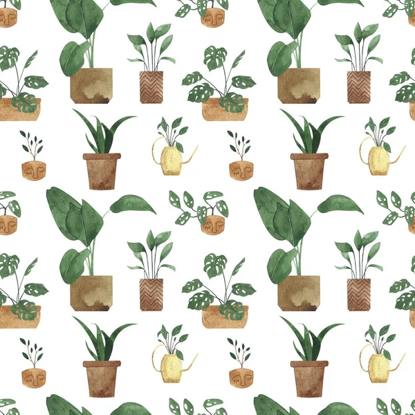 Patroon Gemaakt Van Verschillende Potplanten — Stockfoto