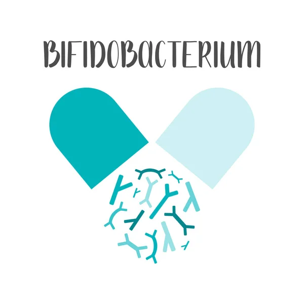 Bifidobakteriyel. Probiyotik. Laktik asit bakterisi. Bağırsak ve bağırsak florası sağlığı için iyi bakteri ve mikroorganizmalar. Vektör seti