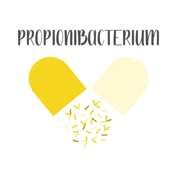 Propionibacterium Probióticos Bacterias Del Ácido Láctico Buenas Bacterias Microorganismos Para — Vector de stock