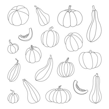 Balkabağı, kabak, kabak, kemik iliği. Değişik şekiller ve renkler. Sonbahar dekoratif tasarımı, Şükran Günü ve Cadılar Bayramı daveti ve hasat için mükemmel. Vektör satırı illüstrasyonu